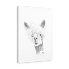 ALLISON Llama - Art Canvas