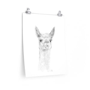 MADDIE Llama- Art Paper Print