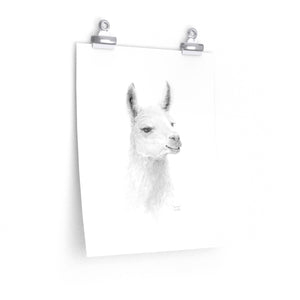 JOUNEER Llama- Art Paper Print