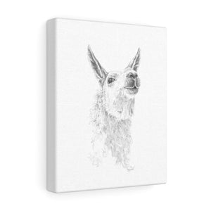 LARRY Llama - Art Canvas