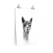 BILLY Llama- Art Paper Print