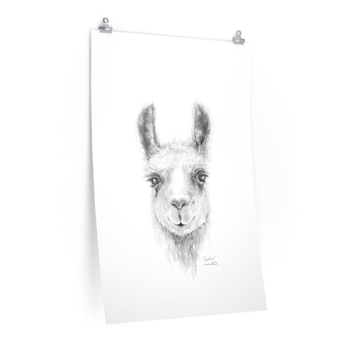 CAROLINE Llama- Art Paper Print