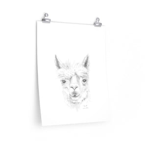 RHETT Llama- Art Paper Print