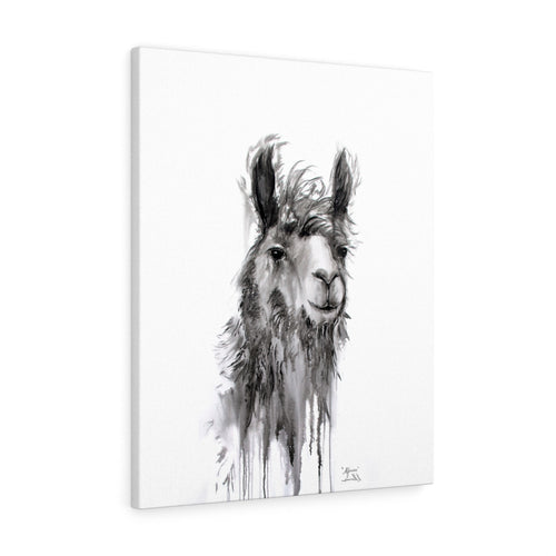 ALFONSO Llama - Art Canvas