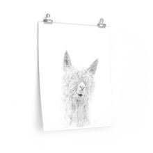 REGINA Llama- Art Paper Print