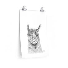 TRUDY Llama- Art Paper Print