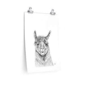 TRUDY Llama- Art Paper Print