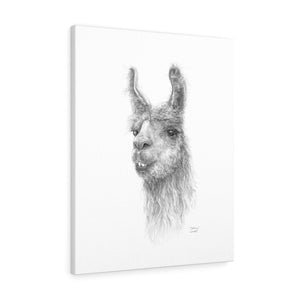 BETHANY Llama - Art Canvas