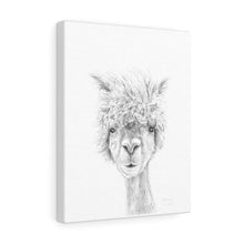 OLIVIA Llama - Art Canvas