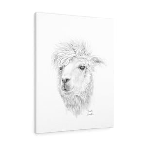 JOSEPH Llama - Art Canvas