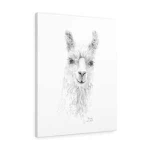 NICOLE Llama - Art Canvas