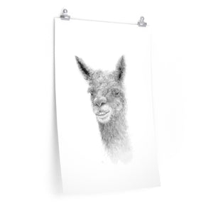 TATE Llama- Art Paper Print