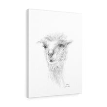 ASHER llama- Art Canvas