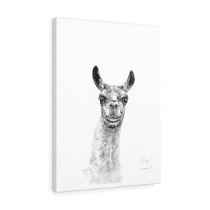 KAILYN Llama - Art Canvas