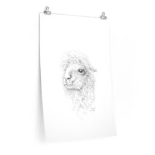 MANDY Llama- Art Paper Print