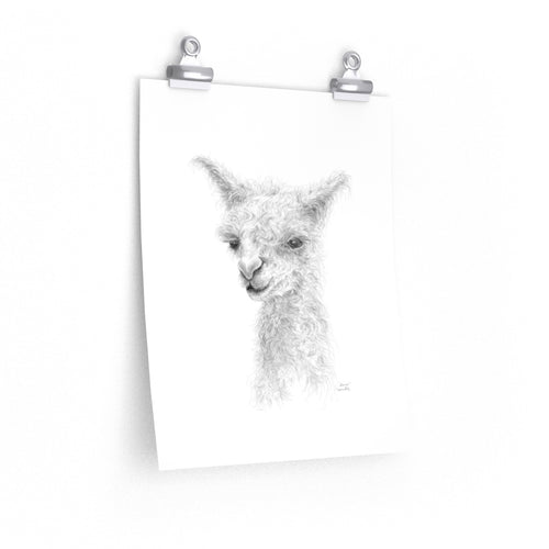 SIERRA Llama- Art Paper Print