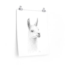 EVA Llama- Art Paper Print