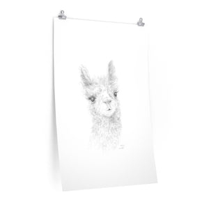 MELODY Llama- Art Paper Print