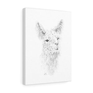 ELLIE Llama - Art Canvas