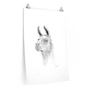 JAN CARLO Llama- Art Paper Print