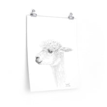 AYALKBET Llama- Art Paper Print
