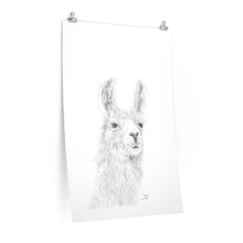 BAILEY Llama- Art Paper Print