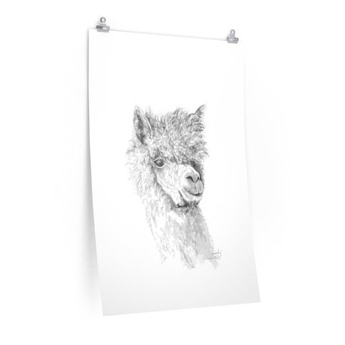 CASSIDY Llama- Art Paper Print