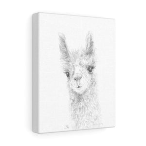 CHLOE Llama - Art Canvas