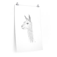 KYLEIGH Llama- Art Paper Print