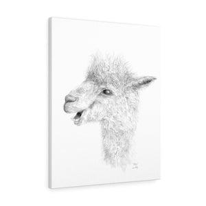 ROBYN Llama - Canvas