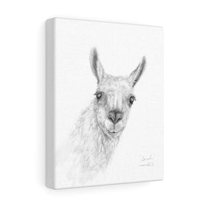 SARRAH Llama - Art Canvas