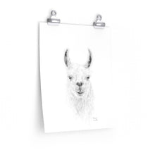 THOMAS Llama- Art Paper Print