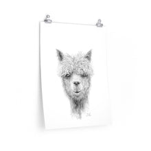 DANIEL Llama- Art Paper Print