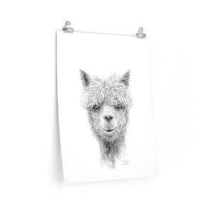 DANIEL Llama- Art Paper Print