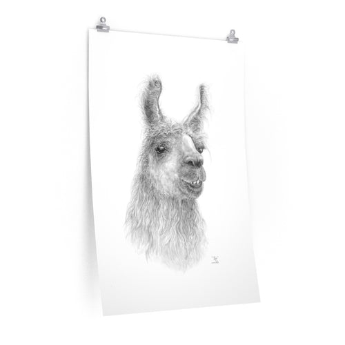 Copy of BILLIE-JO Llama- Art Paper Print