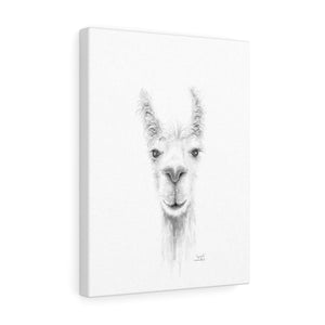 IZAIAH Llama - Art Canvas