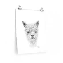 SAWYER Llama- Art Paper Print