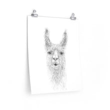 NIKKI Llama- Art Paper Print
