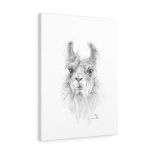 ALLYN Llama - Art Canvas