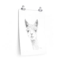 BRANDON Llama- Art Paper Print