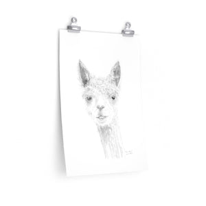 BRANDON Llama- Art Paper Print