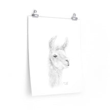 SAVANNAH Llama- Art Paper Print