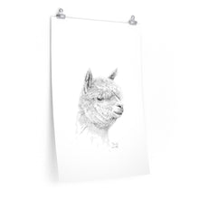 RANDY Llama- Art Paper Print