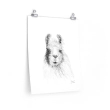 SUSAN Llama- Art Paper Print