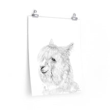 COLE Llama- Art Paper Print