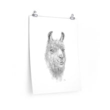 KAYLEE Llama- Art Paper Print