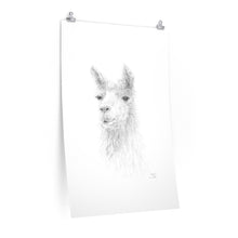 ABIGAIL Llama- Art Paper Print