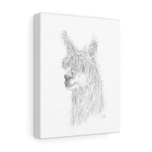 SHONDA Llama - Art Canvas