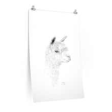 SOPHIE Llama- Art Paper Print