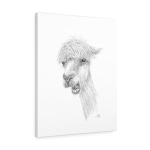 TYLER Llama - Art Canvas